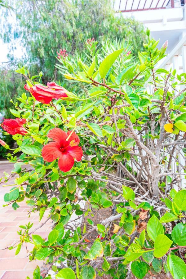 Vivienda Vacacional Serendipity Costa Teguise Luaran gambar
